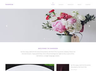 Narrow Free Website Template