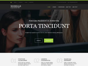 Nodelle Free Website Template