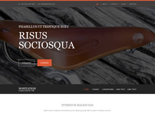 Nonitation Free Website Template